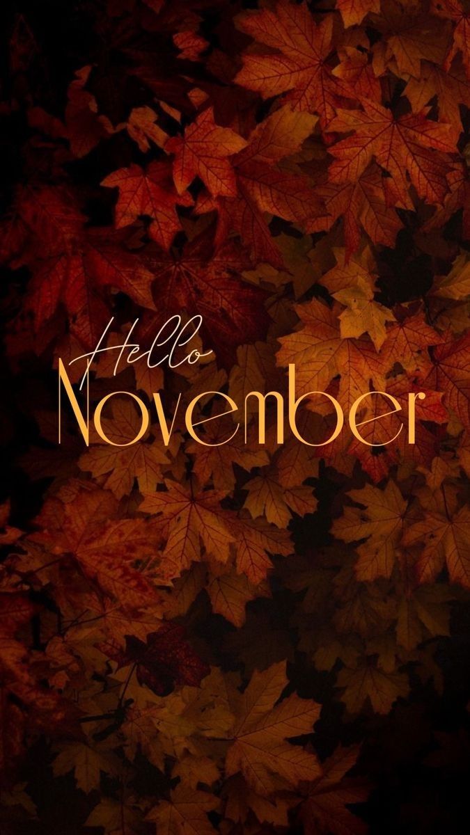 the words hello november are written in gold and orange on a dark background with autumn leaves