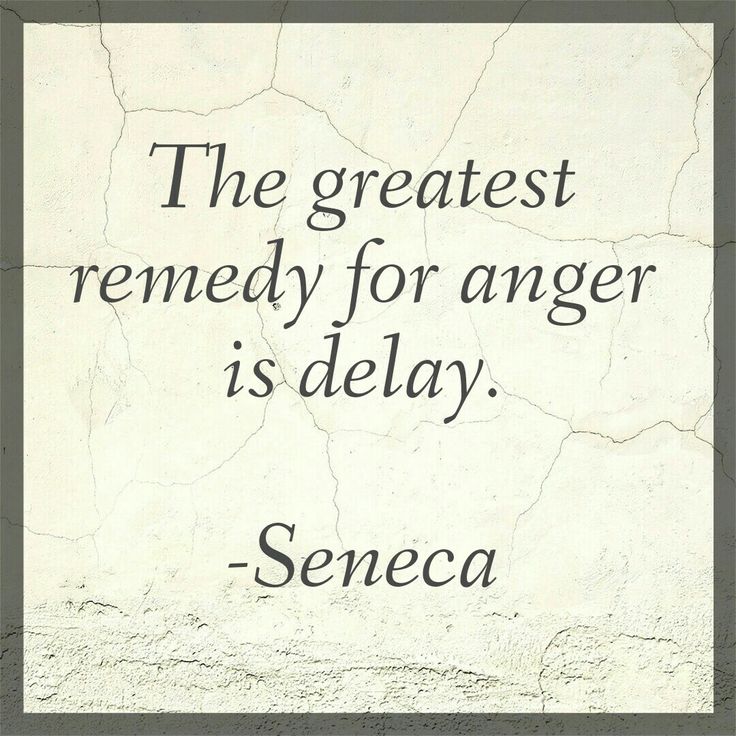 a quote that reads, the greatest remedy for anger is delay - seneca