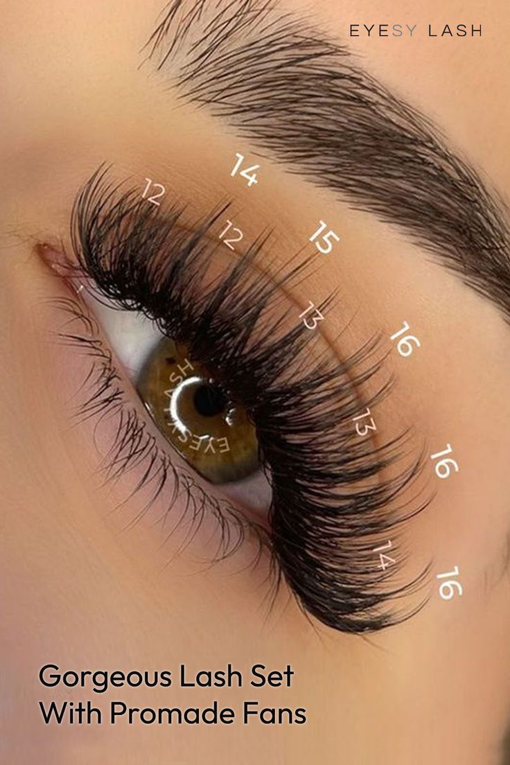 Eye Map, Lash Maps, Lash Tips, Witty Sayings, Lashes Fake Eyelashes, Lash Styles, Perfect Eyelashes, Pretty Lashes, Play On Words