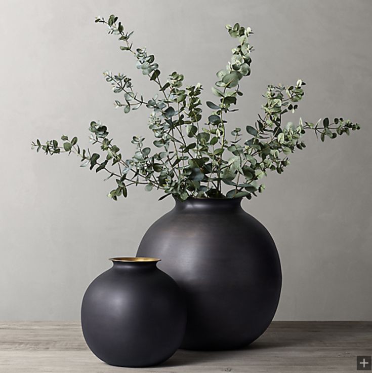 two black vases with green plants in them