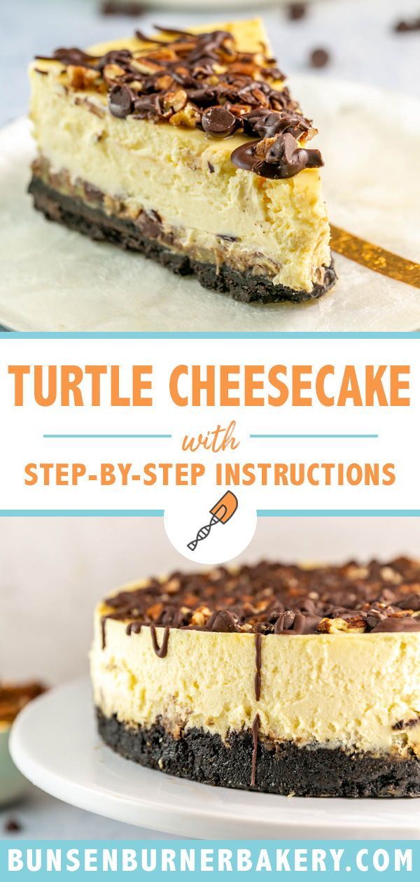 a slice of cheesecake with chocolate chips on top and the words turtle cheesecake