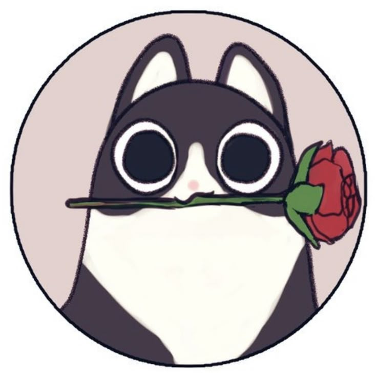 a black and white cat holding a rose in its mouth