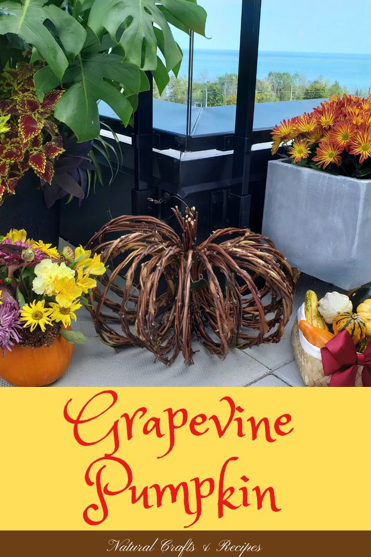 A grapevine pumpkin surrounded by fall decor Grapevine Chandelier Diy, Grapevine Craft Ideas, How To Make A Grapevine Tree, Grape Vine Projects, Grapevine Pumpkin Diy, Crafts With Grape Vines, Grapevine Crafts Projects, Grapevine Crafts Diy, Grapevine Tree Decorating Ideas