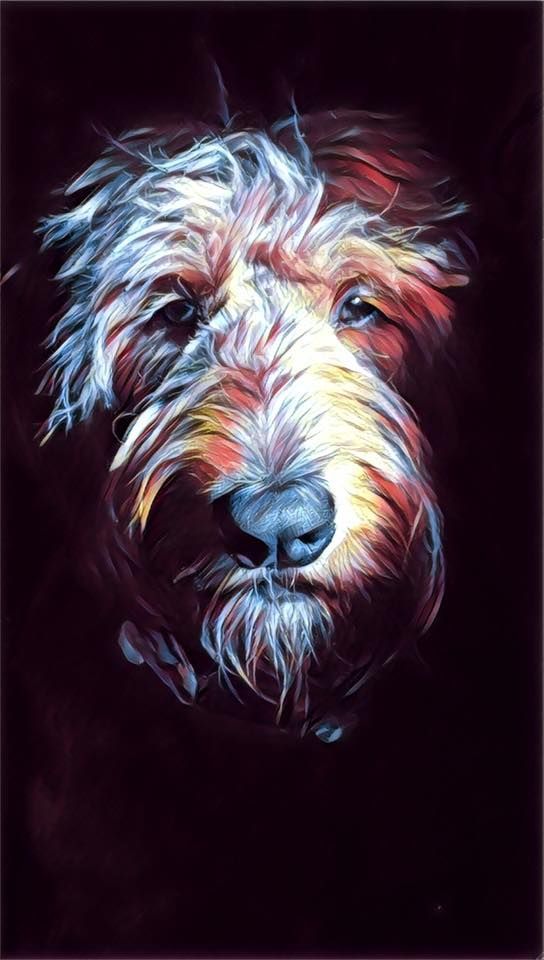 a painting of a dog's face on a black background