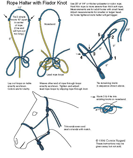 instructions for how to tie a horse's bridle and halter with flat rope