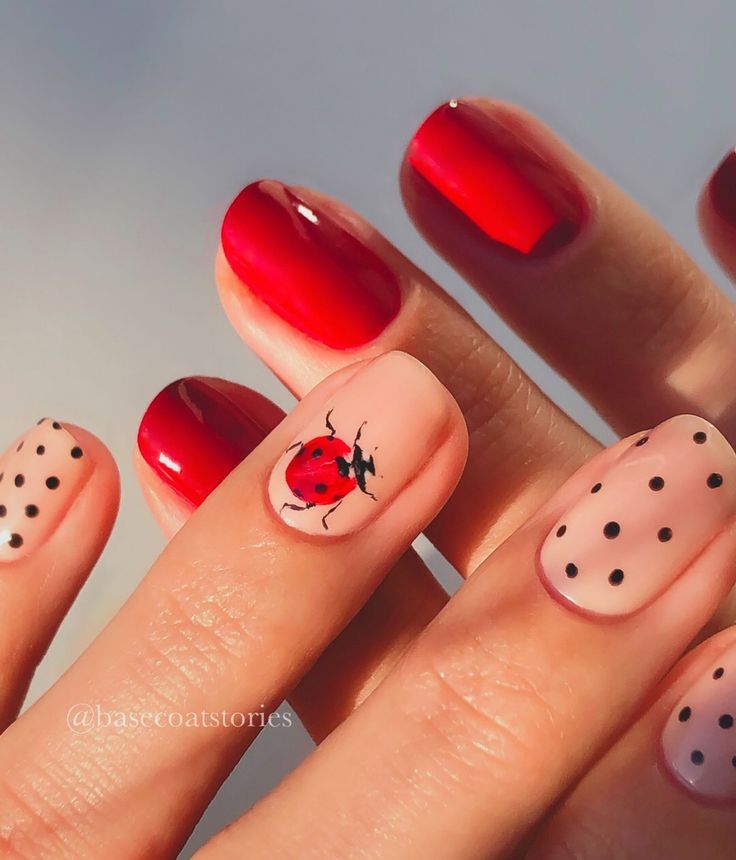 Red Short Nails, Nails Polka Dots, Strawberry Nail Art, Ladybug Nails, Nail Art Spring, Short Nail Manicure, Multicolored Nails, Regular Nail Polish, Modern Nails