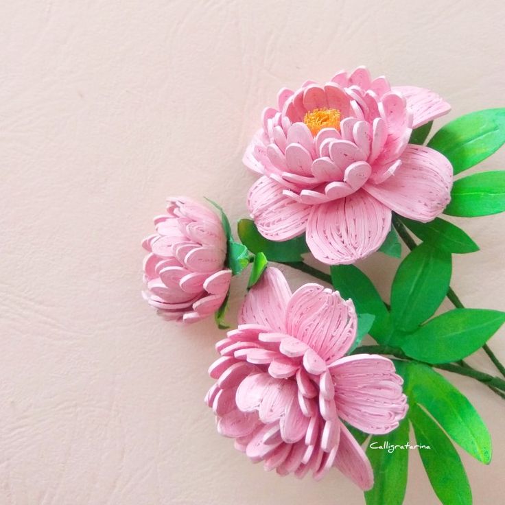 three pink flowers with green leaves on a white background that says the peony paper quilling