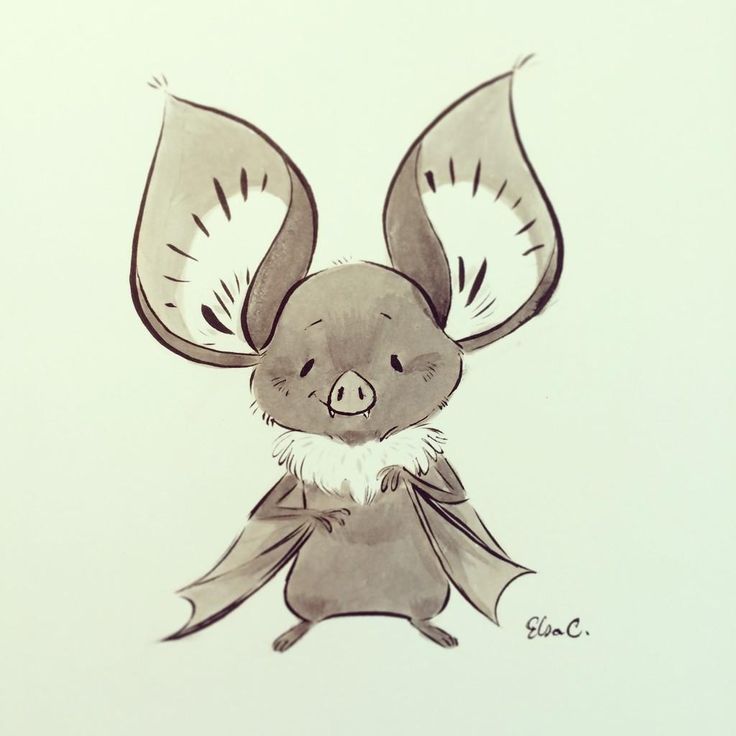 a drawing of a little pig with big ears and wings on it's back