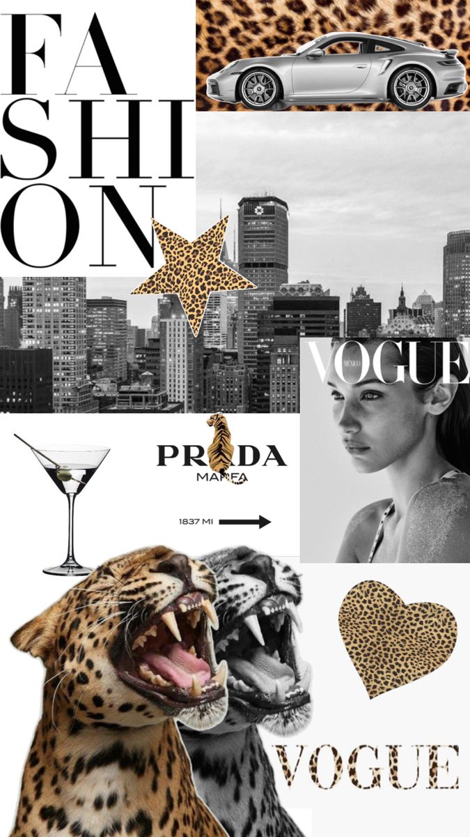 a collage with leopard, cheetah and other animal related items in black and white