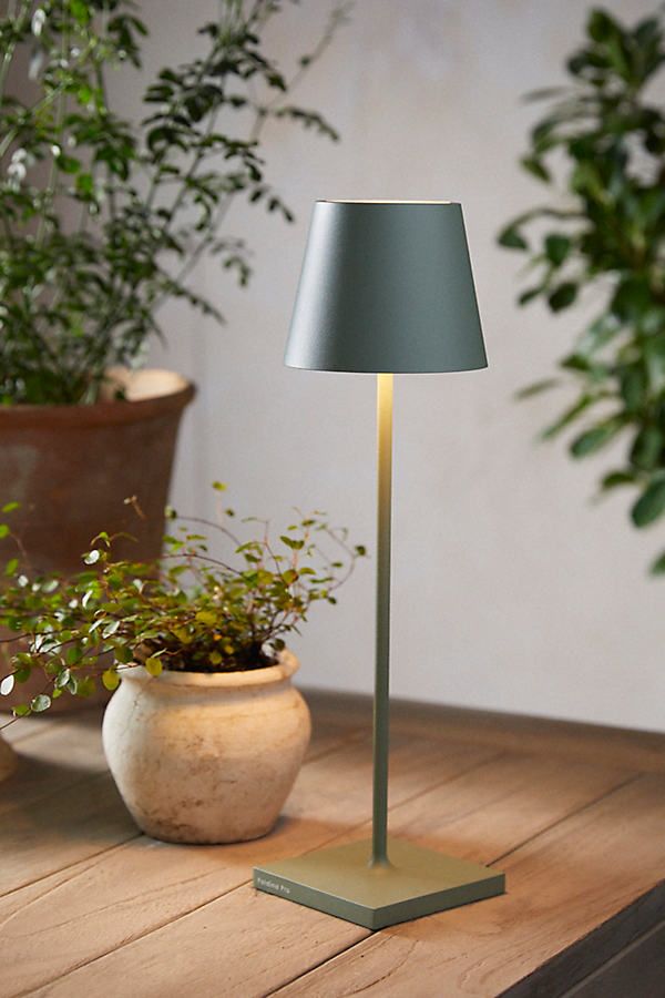 a lamp that is on top of a table next to a potted plant and some plants