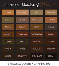 the shades of brown are shown in this graphic style, and it is easy to use