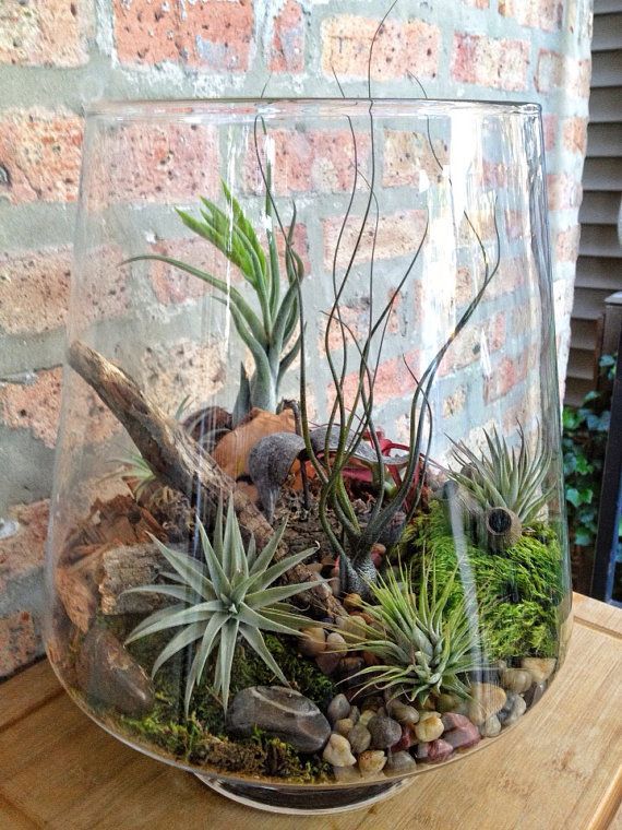 a glass vase filled with plants and rocks on top of a wooden table next to a brick wall