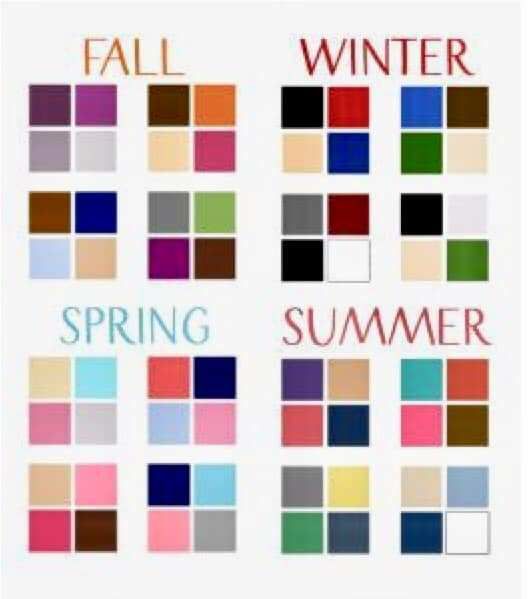 the words fall, winter, and spring are arranged in different colors on a white background