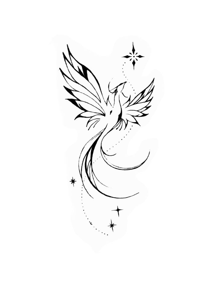 a black and white drawing of a bird with stars