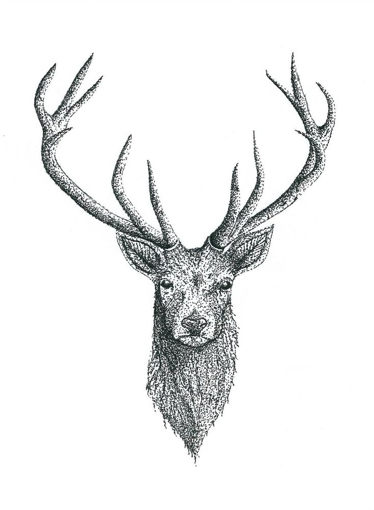 a drawing of a deer with antlers on it's face and the words google search