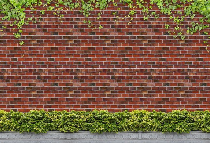 Brick Wall Creeper Green Leaves Backdrops for Photo Studio Doll House Wallpaper, Custom Backdrops, Seamless Backdrop, Iphone Background Images, Parking Design, Printed Backdrops, House Wall, Wall Background, Custom Backdrop