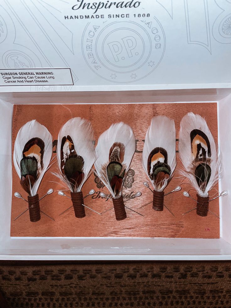 five feathers are in a box on display