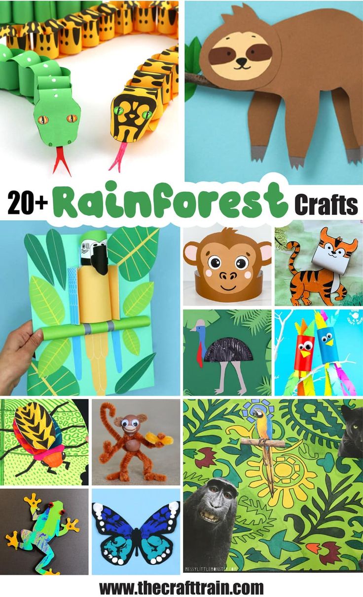 the rainforest crafts and activities are great for kids to do with their own animal friends