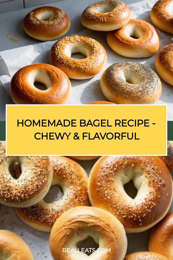 homemade bagel recipe - chewy and flavorful from realfoxom com