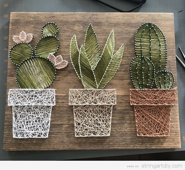 four different types of cactus plants on a cutting board