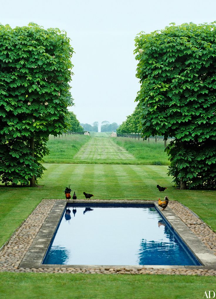 an empty pool surrounded by trees in the middle of a grassy area with birds on it