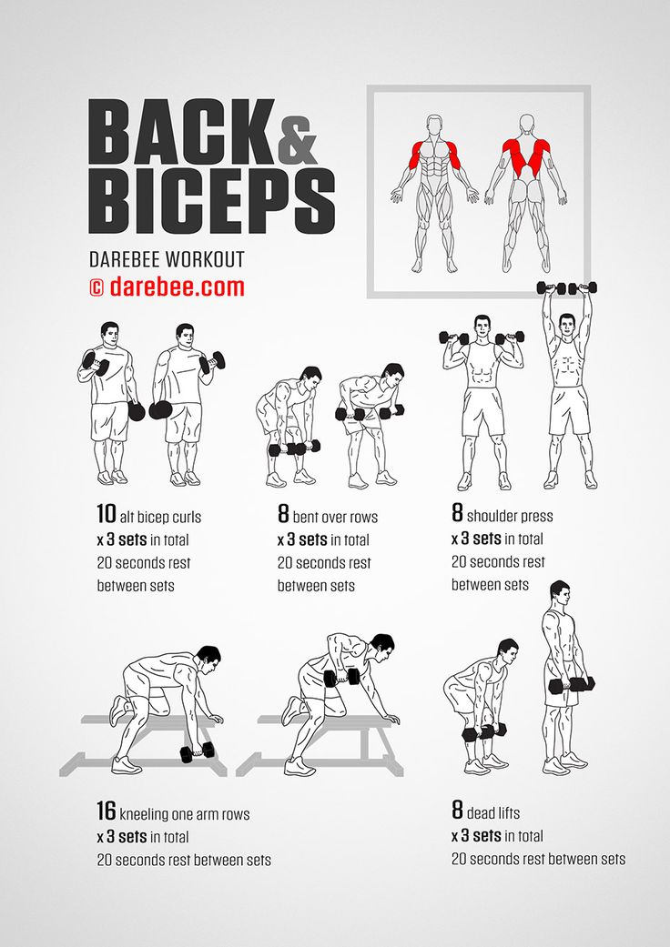 the back and biceps workout poster shows how to do dumbbles with one arm