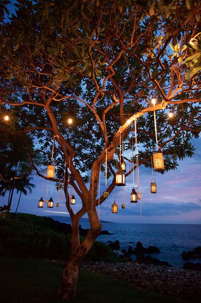 a tree with lanterns hanging from it's branches in the night sky over water