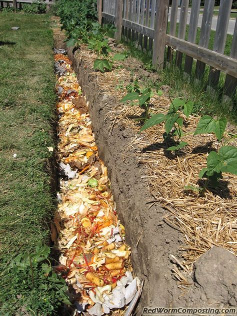 the garden is filled with many different types of trash