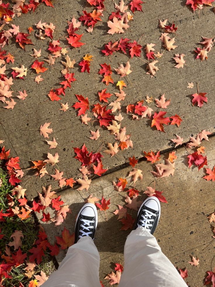 a person standing in front of leaves on the ground