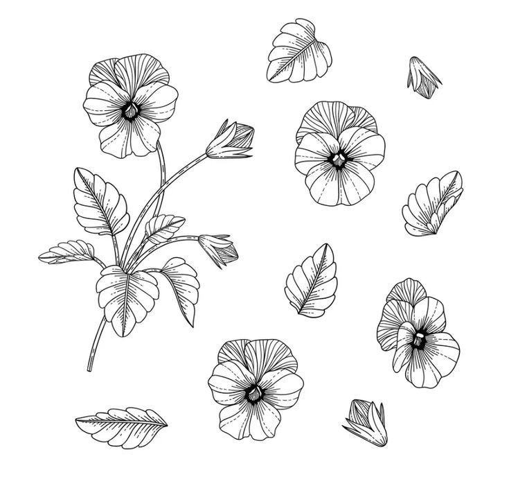 flowers and leaves drawn in ink on white paper