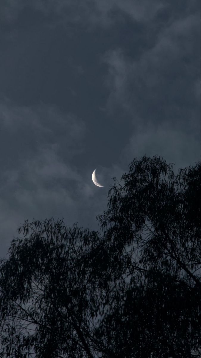 the moon is seen through dark clouds in this view from across the treetops at night