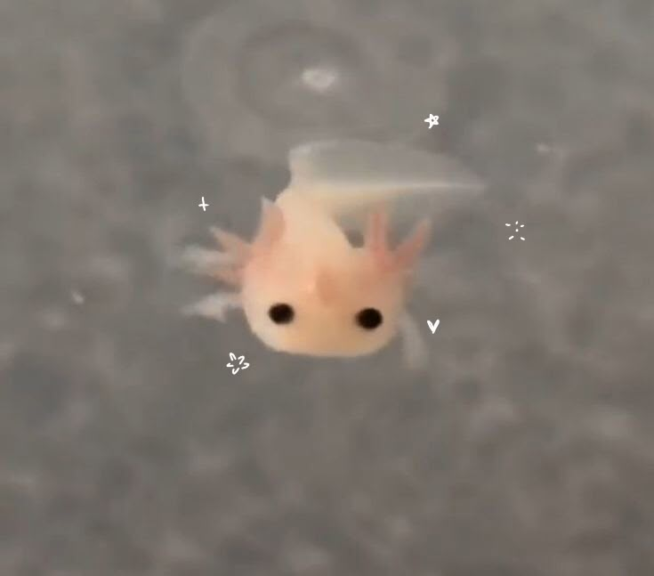 a small fish floating on top of water next to bubbles and stars in the sky