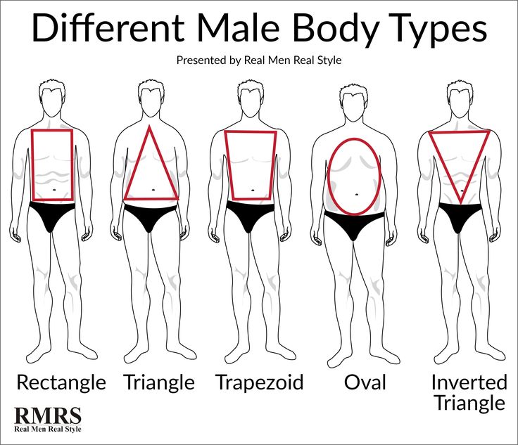 different male body types are shown in this diagram