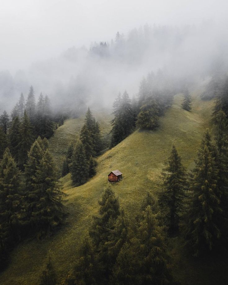 an aerial view of a cabin in the middle of a foggy forest with pine trees