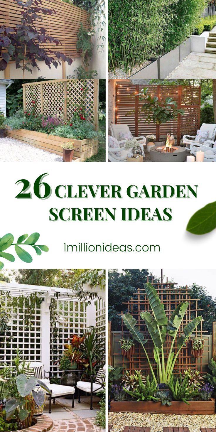 several different types of garden design with text overlay that reads, 26 clever garden screen ideas