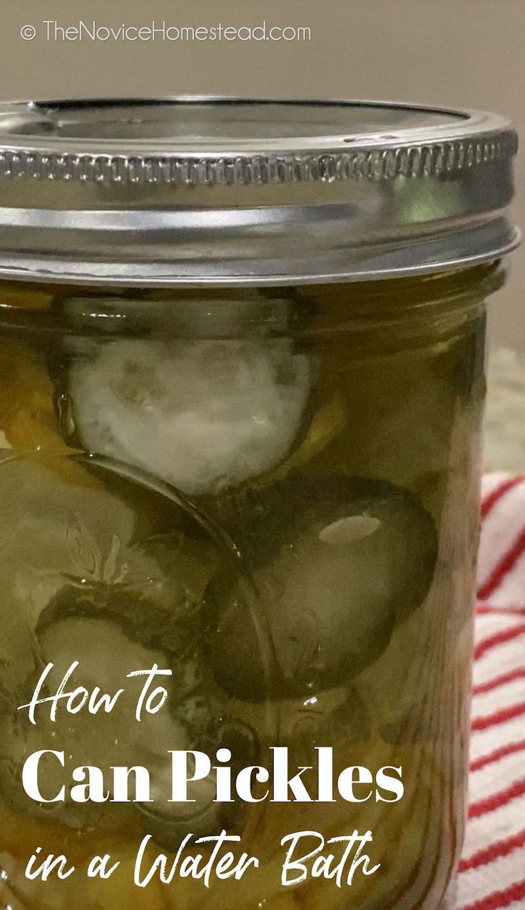 close up of a jar of homemade pickles How To Water Bath Can Pickles, Waterbath Canning Dill Pickles, Dill Pickle Water Bath Canning Recipe, Water Bath Dill Pickles, Water Bath Pickle Recipe, Water Bath Canning Pickles, Easy Canned Pickles, Sweet Pickles Homemade Canning, Water Bath Pickles