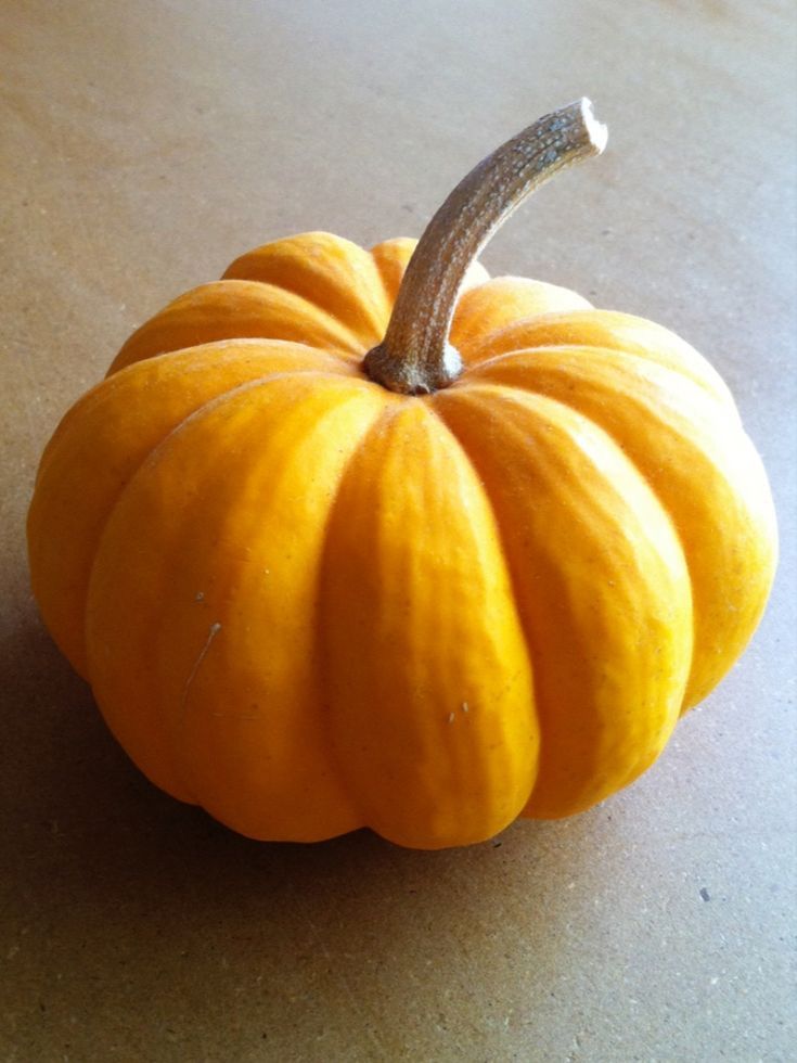 My Pumpkin Oatmeal is a deliciously satisfying and nutritious breakfast that tastes like dessert! This recipe will make a lot and stay fresh in the refrigerator for several days. Each morning, simply scoop out a portion to reheat! Pumpkin Reference, Farm Market Ideas, Morning Oats, Still Life Pictures, Pumpkin Drawing, Bird Watercolor Paintings, Pumpkin Oatmeal, Still Life Fruit, Still Life Drawing