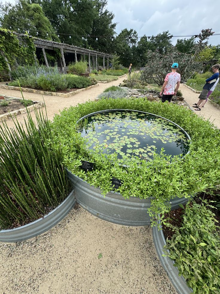 two people are walking through a garden with lots of plants and water in the middle