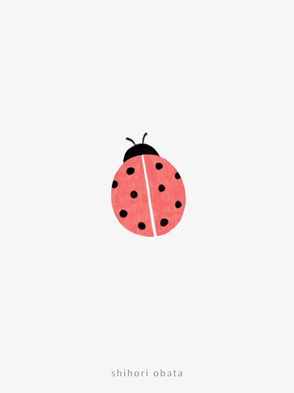 a ladybug on a white background with black dots