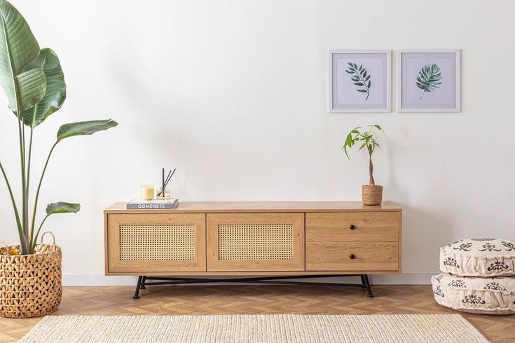 a living room with two potted plants on top of the tv stand and one plant in front of it