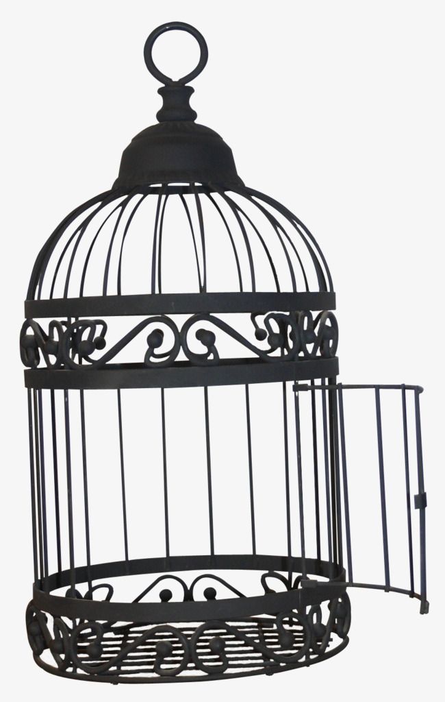 a black bird cage hanging from the ceiling with an iron handle and two sections on each side