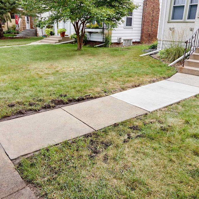 a sidewalk that has some grass on it