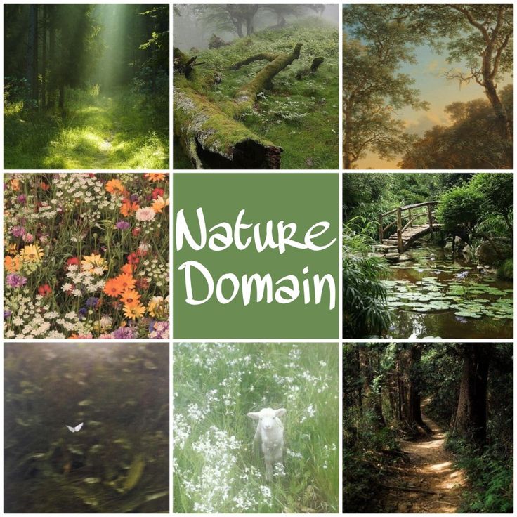 there are many different pictures in this collage with the words nature dommini