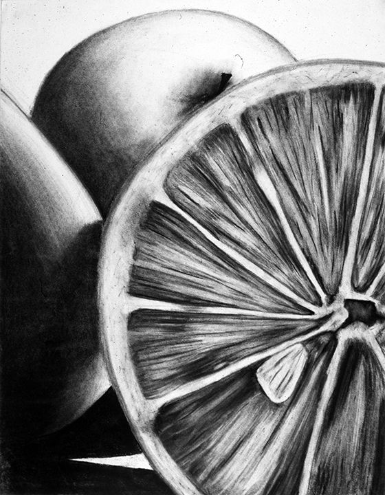 a pencil drawing of an apple and orange