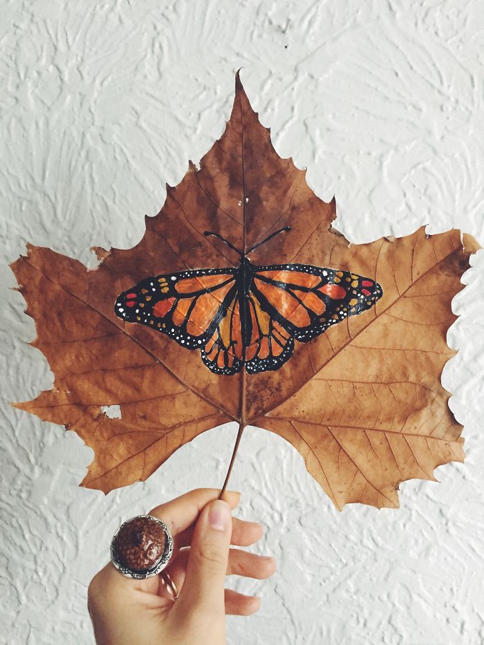 a hand holding a leaf with a monarch butterfly on it's back and the tip of its wing