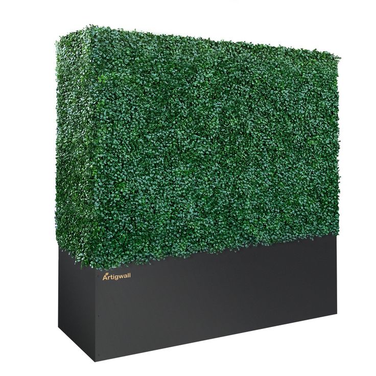 an artificial boxwood hedge is shown in front of a white background with the word,