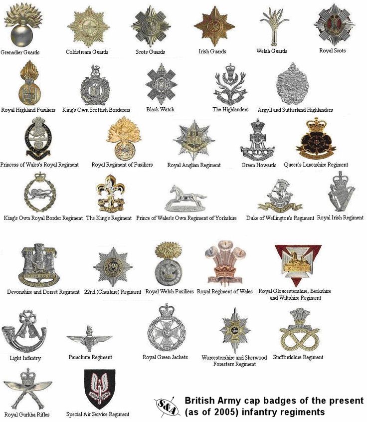 the british army badges of the present era