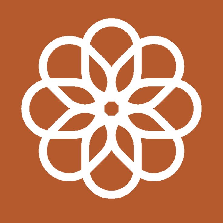 an orange and white flower on a brown background