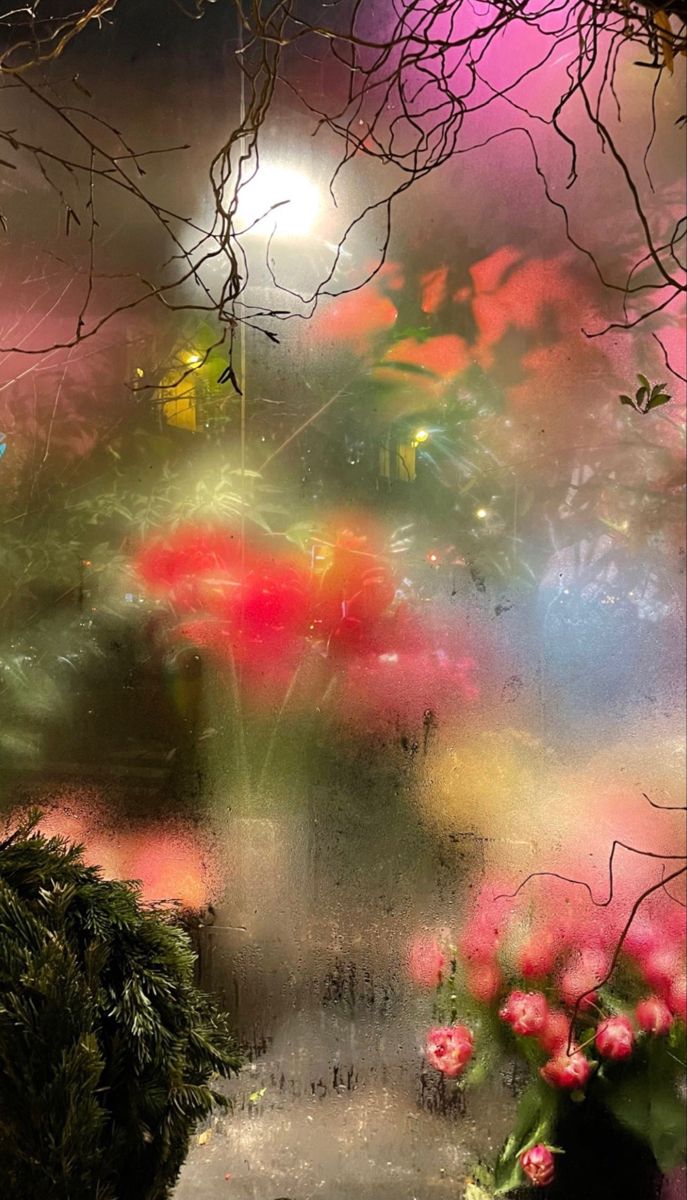 an image of flowers in the rain through a glass window with light shining on them