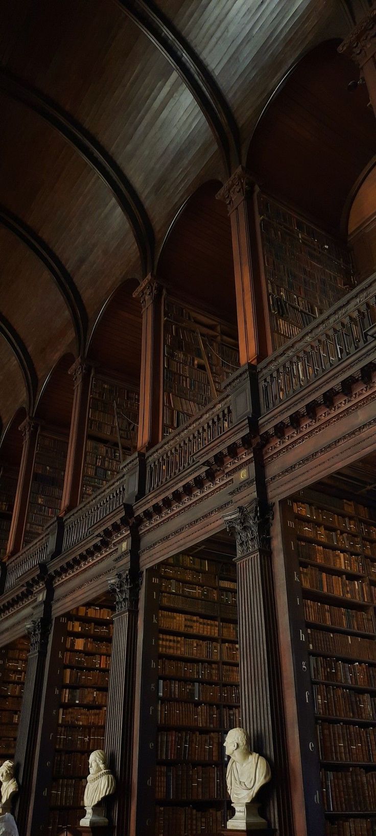 the interior of a library with busturines and bookshelves